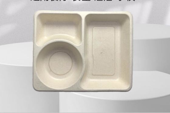3Grid Disposable Lunch Box, Takeaway Biodegradable Packaging Box