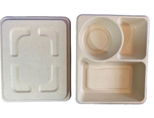 3Grid Disposable Lunch Box, Takeaway Biodegradable Packaging Box