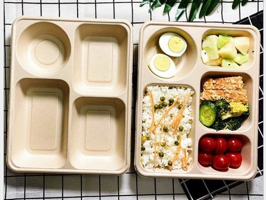 Kotak Makan Siang Sekali Pakai Kemasan Empat Kotak, Kotak Makan Siang Bawa Pulang Biodegradable