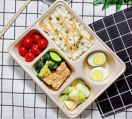 5 Kotak Makan Siang Sekali Pakai Kotak Dengan Tutup, Kotak Makan Siang Biodegradable Jerami Gandum