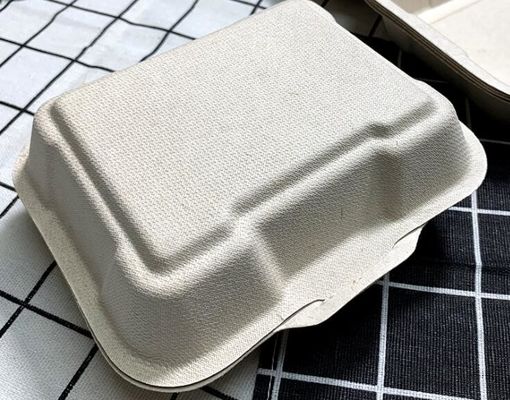 Kemasan Bubur Tebu Siam Kotak Makan Siang Sekali Pakai Biodegradable