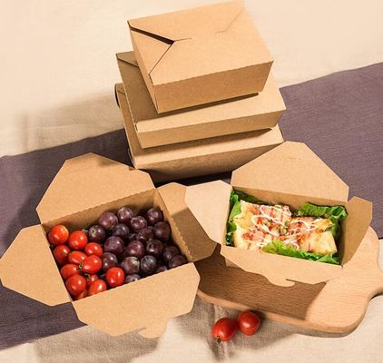 Food Grade Disposable PE Coated Packaging Kotak Makan Siang Karton