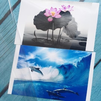Film Mata Kucing 3D Foto Film Laminasi Dingin, Film Dekorasi Rumah Tiga Dimensi Transparan