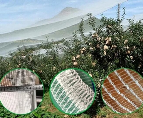 Good Bird Insect Protection Net Hail Proof Net Putih Anti Bee Net untuk Perlindungan Tanaman Pohon