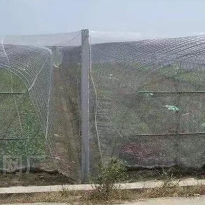 Good Bird Insect Protection Net Hail Proof Net Putih Anti Bee Net untuk Perlindungan Tanaman Pohon