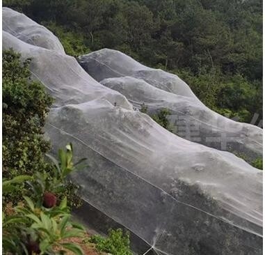 Hijau kustomisasi Bug Perlindungan Serangga Tanaman Jaring untuk Pohon Buah Kebun Sayur Rumah Pabrik