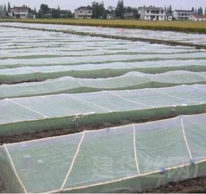 Hijau kustomisasi Bug Perlindungan Serangga Tanaman Jaring untuk Pohon Buah Kebun Sayur Rumah Pabrik