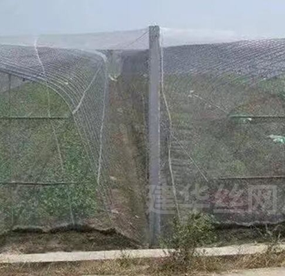 40 50 60 Mesh 125g Pertanian Rumah Kaca Anti Serangga Jaring Dengan Pencetakan Yang Dapat Diterima