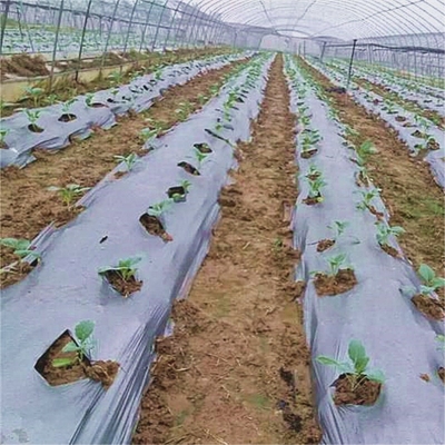 Perkebunan Mulch Film untuk Rumput Restarin Tanah Suhu dan Pengendalian Kelembaban V6