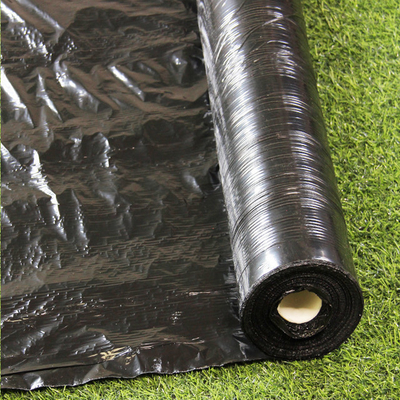 Silver Black 25um/30um/35um UV Mulch Plastic Film untuk Pertanian