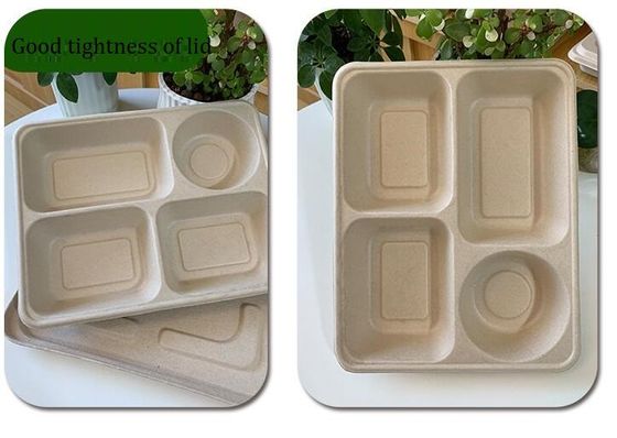 Kotak Makan Siang Sekali Pakai Kemasan Empat Kotak, Kotak Makan Siang Bawa Pulang Biodegradable