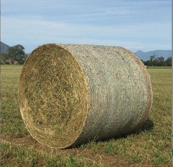 PE Plastik Pertanian Bulat Jagung Bale Jaring Silage Feed Feed Jaring Jerami Bales Jaring Baler Khusus